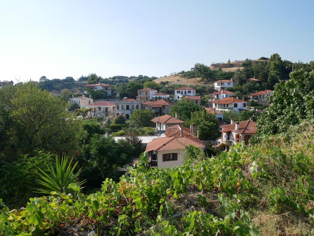 Casa Di Grigoris Villa Nikíti Kültér fotó