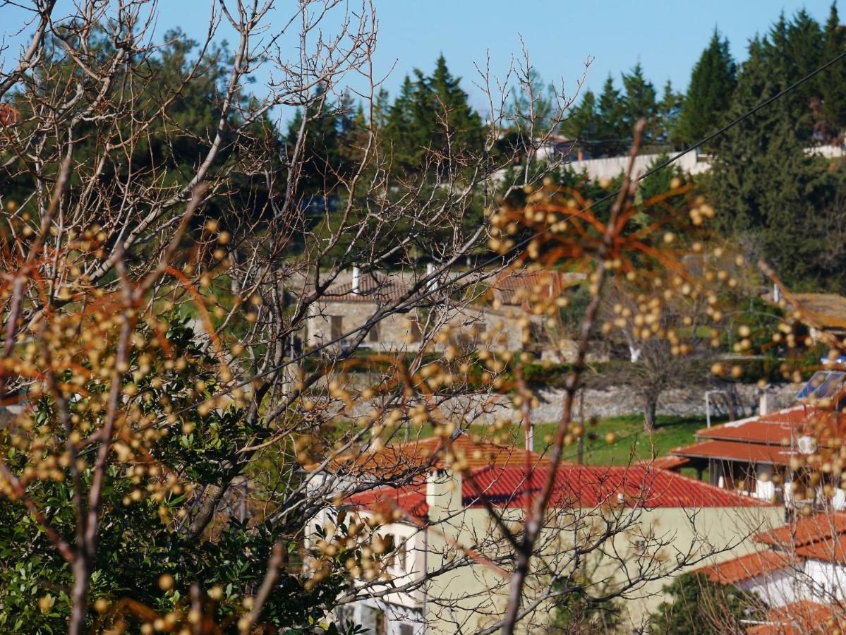 Casa Di Grigoris Villa Nikíti Kültér fotó